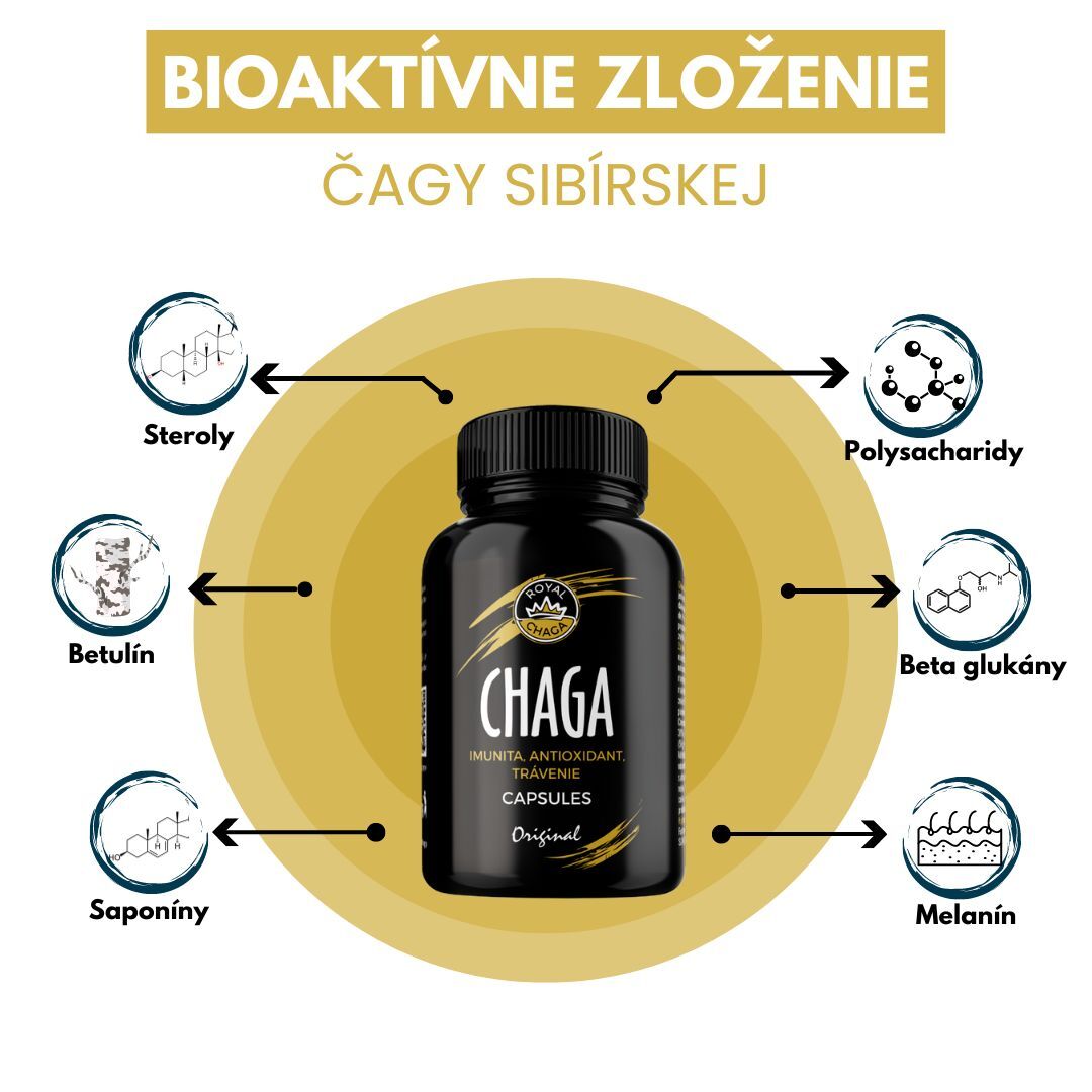 Bioaktívne zloženie čaga 